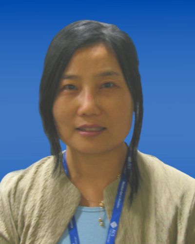 Dr. Kyung Choi, PhD, VP